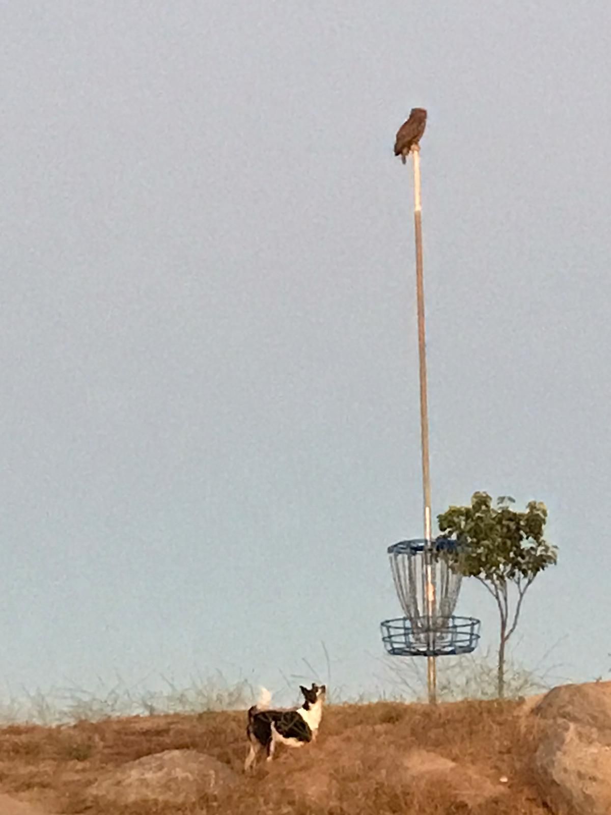 The Gates of Hell Valley Center, CA UDisc Disc Golf Course