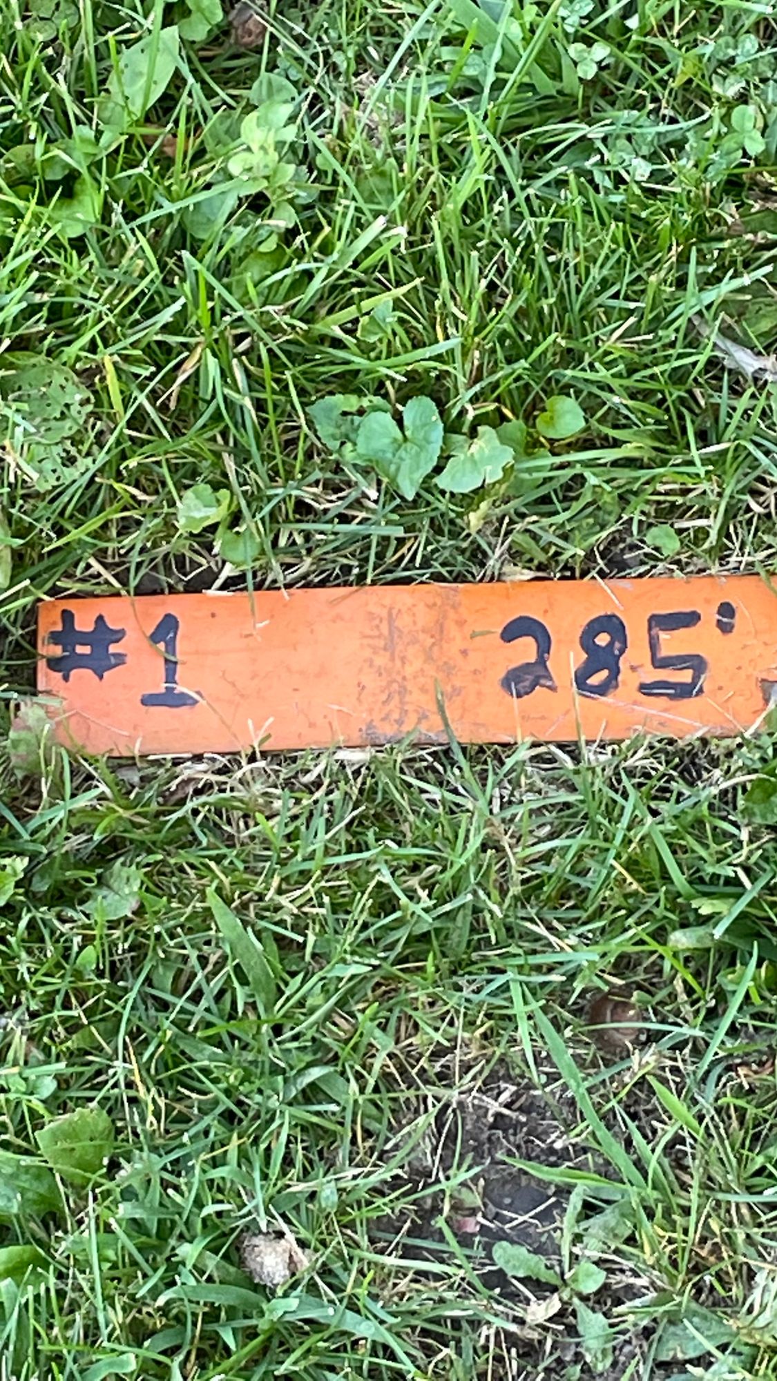 La Porte City Disc Golf Your Guide to Disc Golf in La Porte City