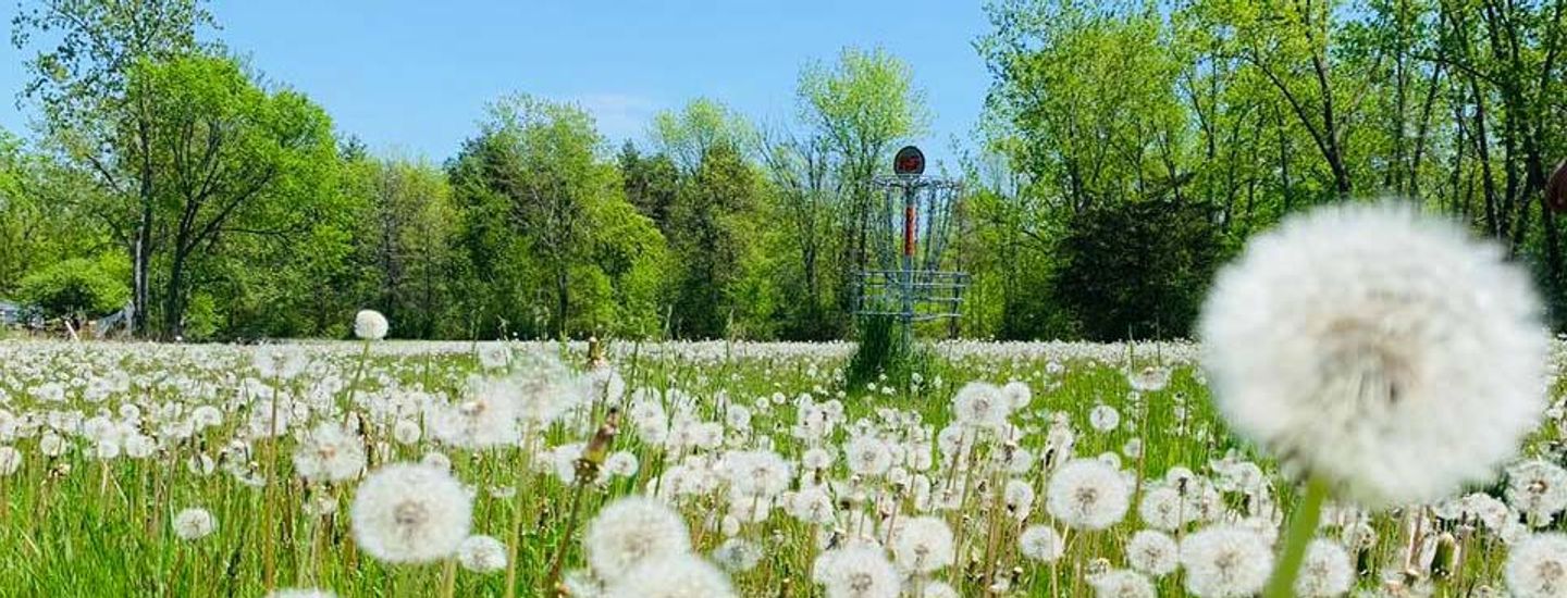 CrownPoint Singles UDisc Leagues BETA