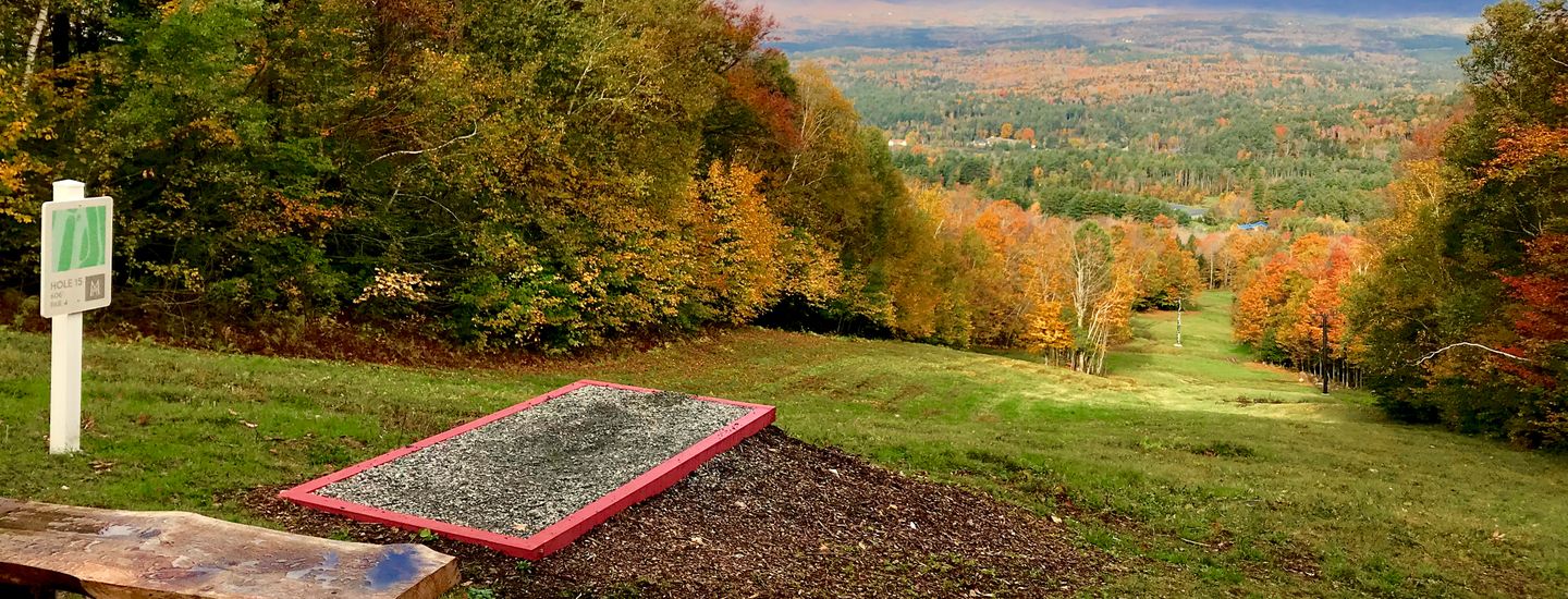 Charlotte University Disc Golf Club UDisc Leagues BETA