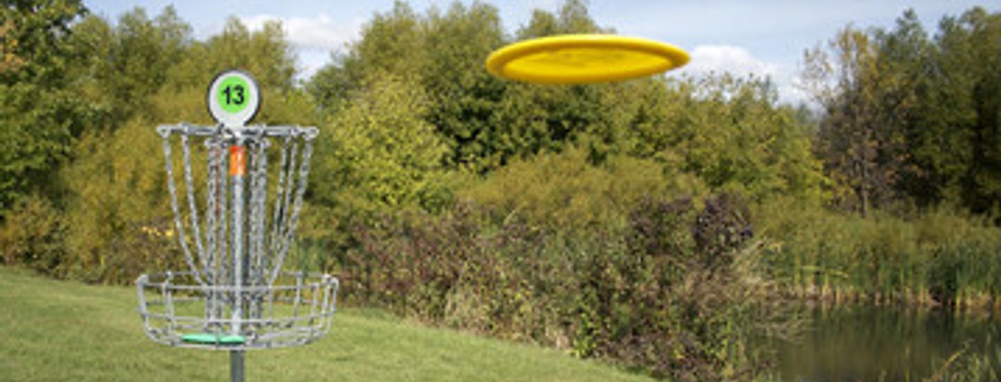 In The Chains Disc Golf