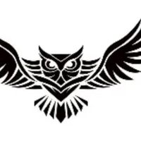 Pure Flight Disc Golf logo