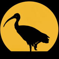 Black Ibis Discs logo