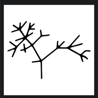 Speciation Cellars logo
