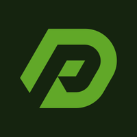 Disc Point logo
