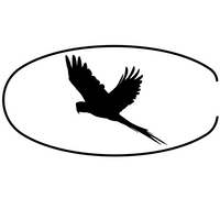 Birdie Cards logo