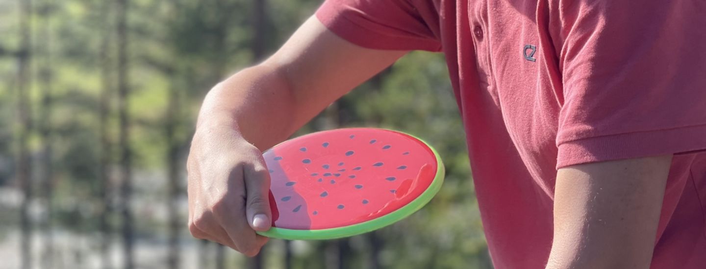 FrisbeeLoftet