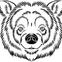 Airborn Disc Golf Preserve Pro Shop! logo